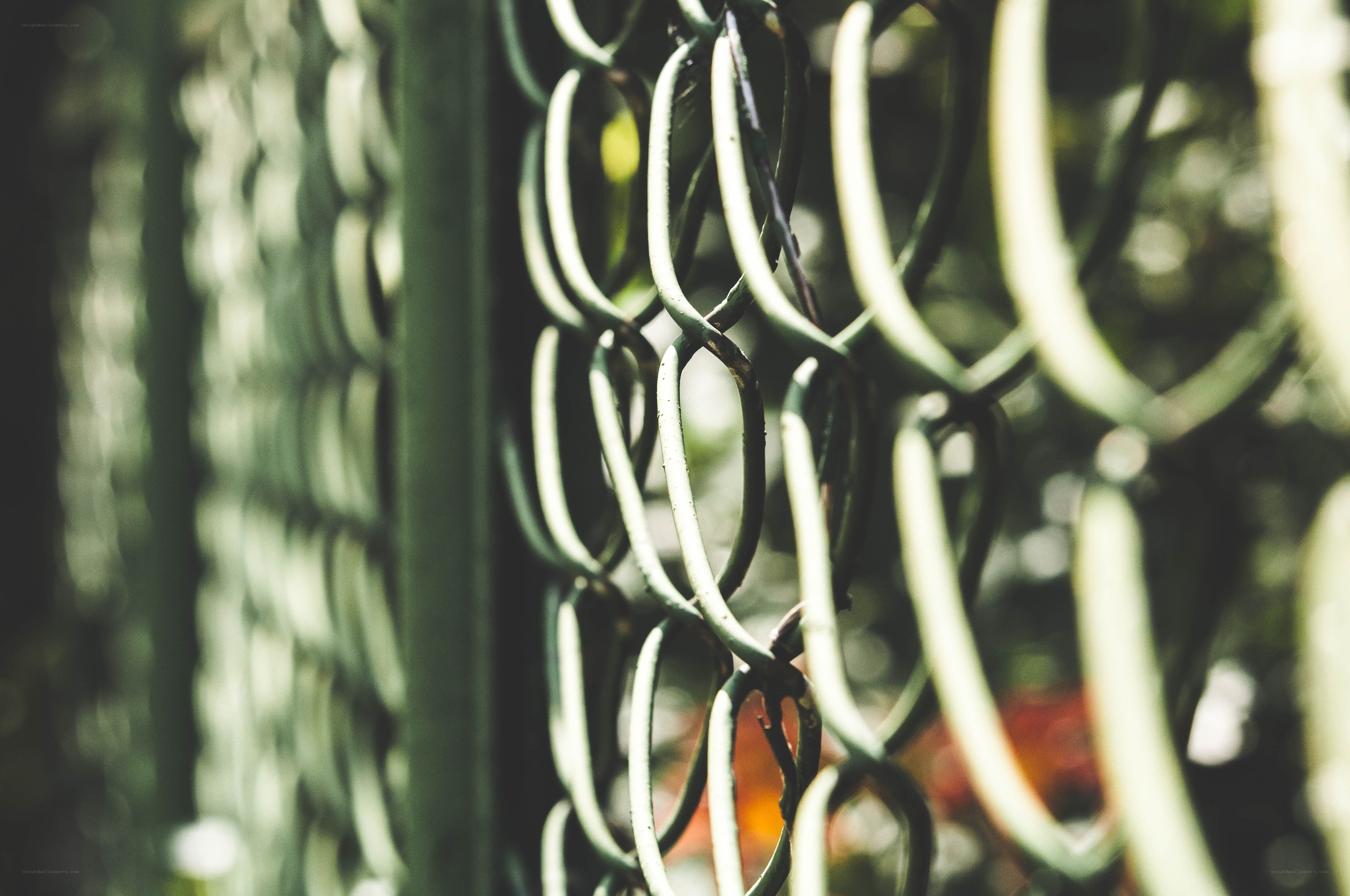 chain-link fence close-up