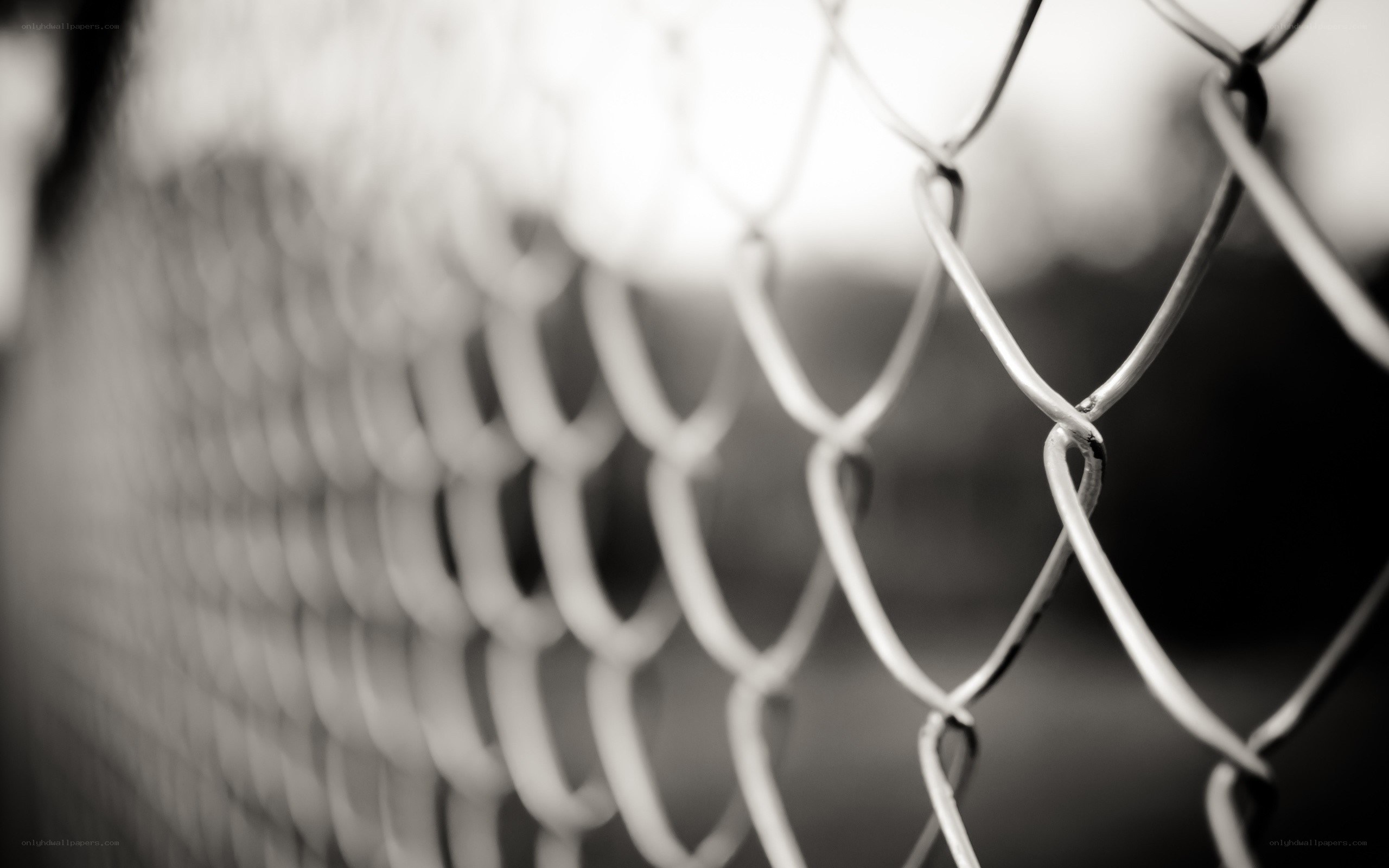 chain-link fence close-up