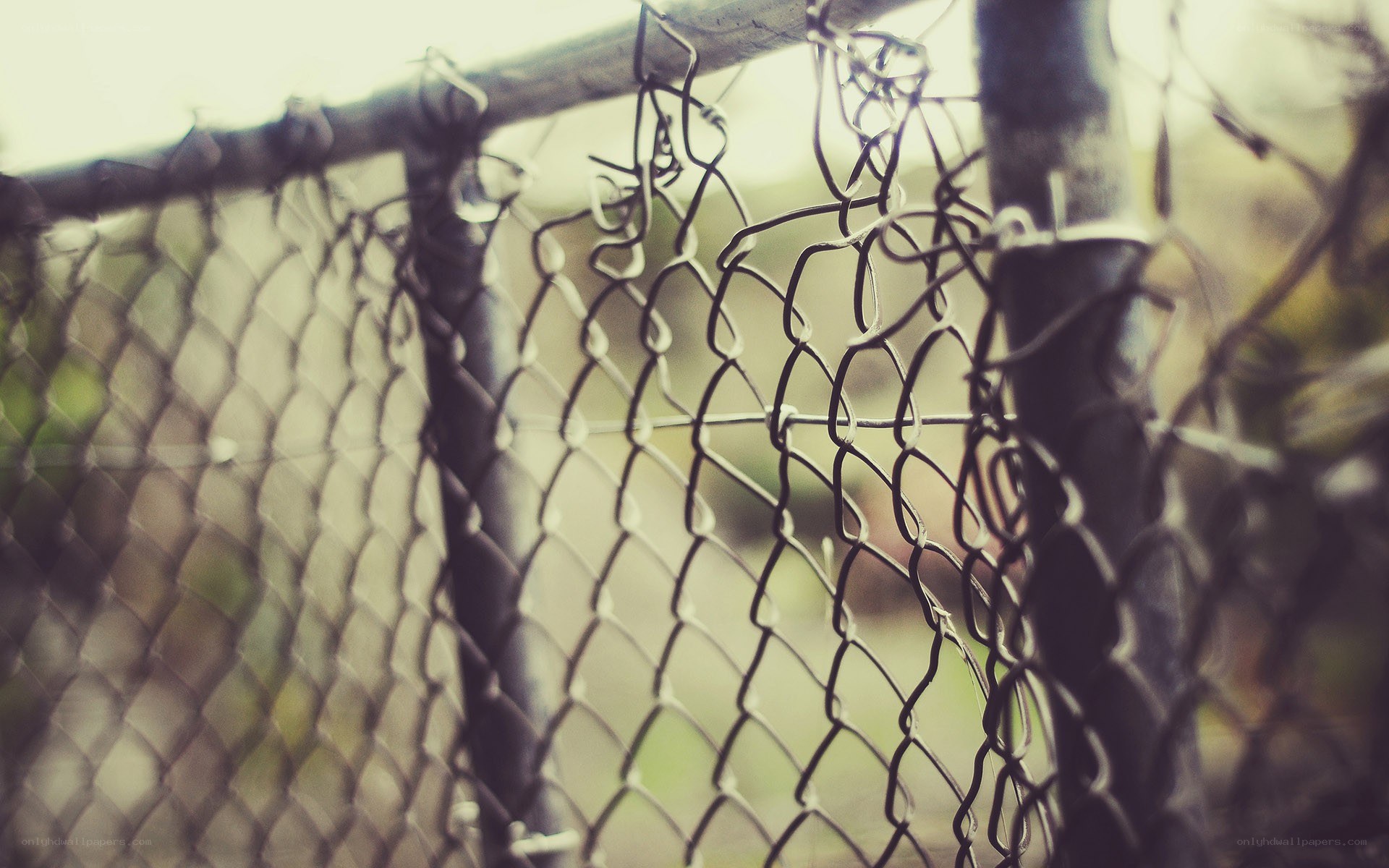chain-link fence close-up