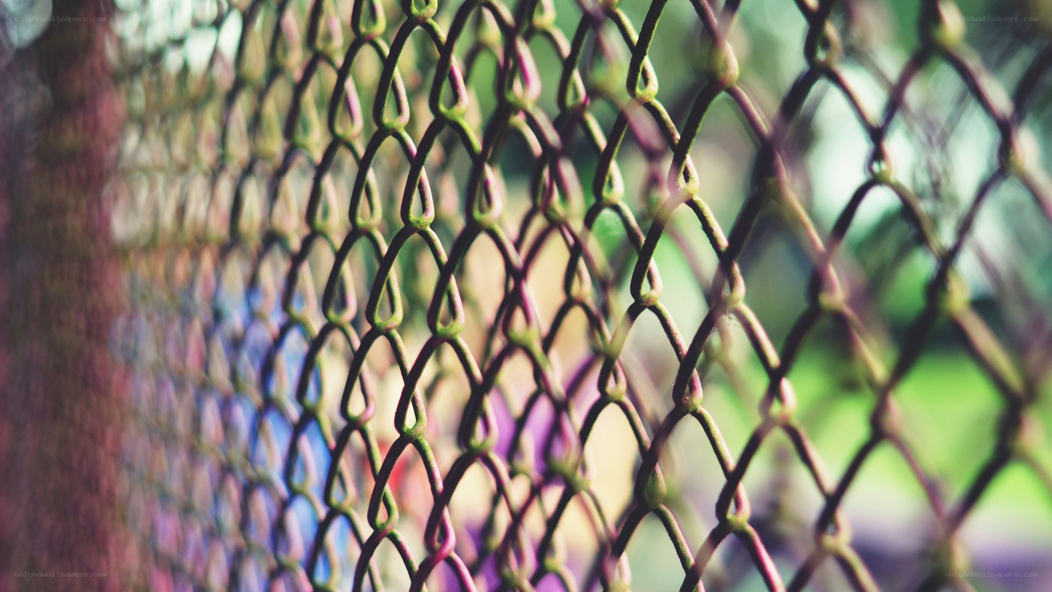 chain-link fence close-up
