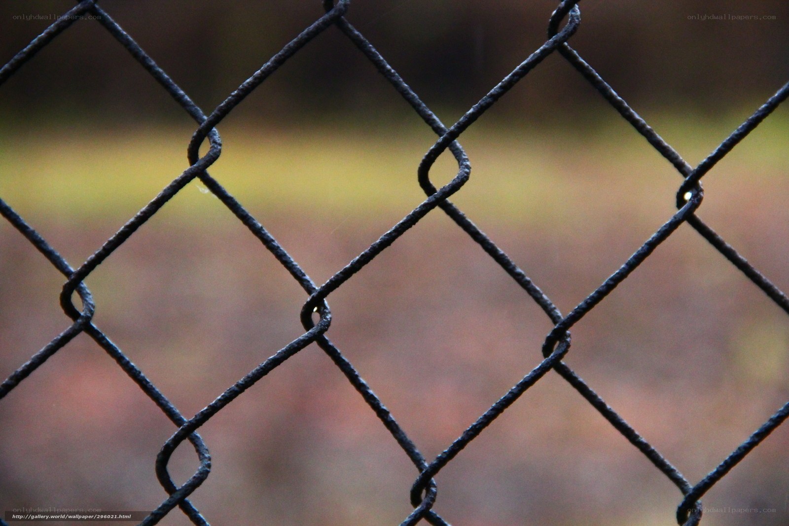chain-link fence close-up