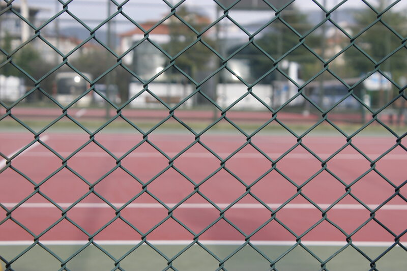 Chain-link Fence — Green, Calm, Afternoon