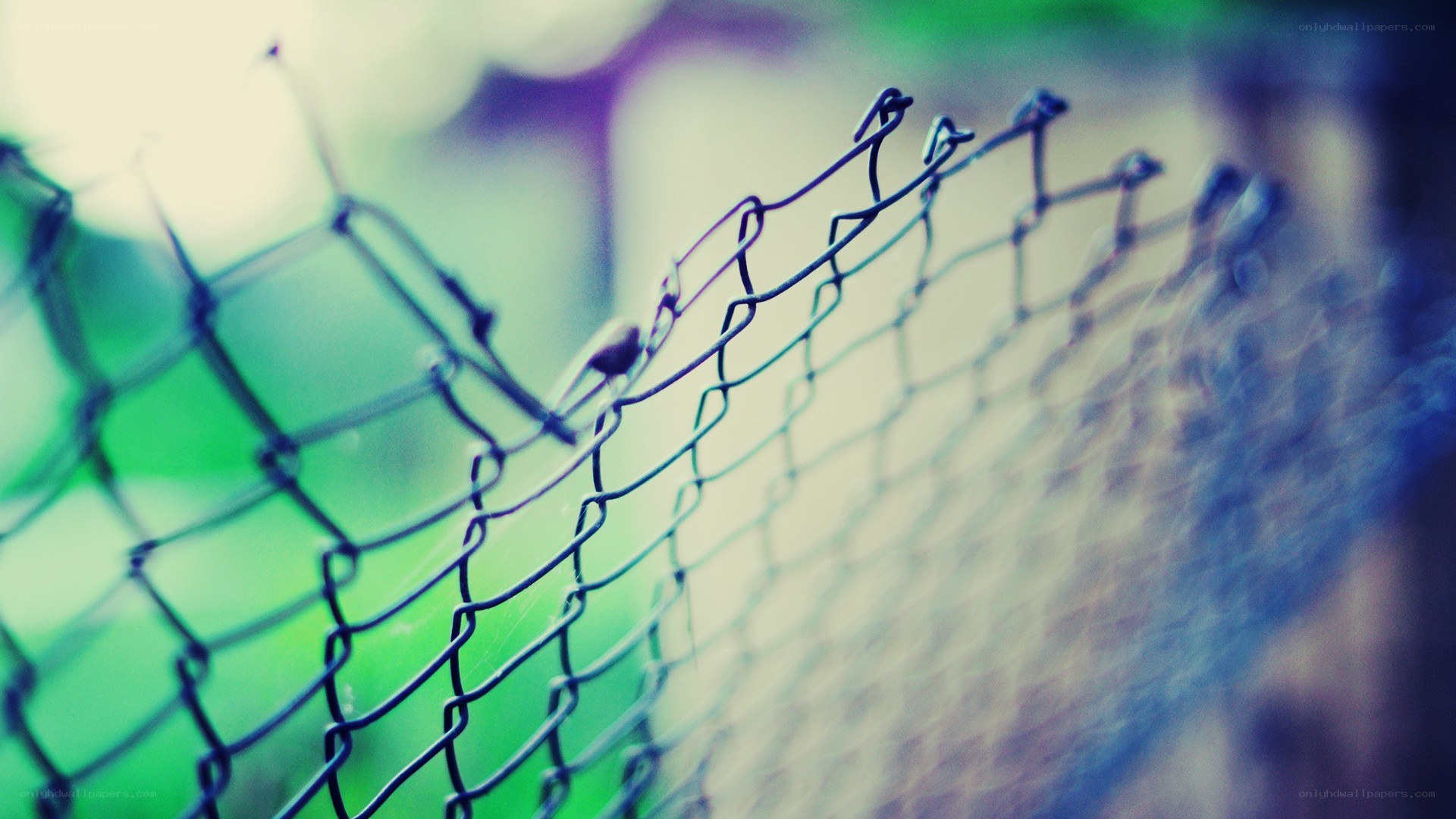 chain-link fence in focus