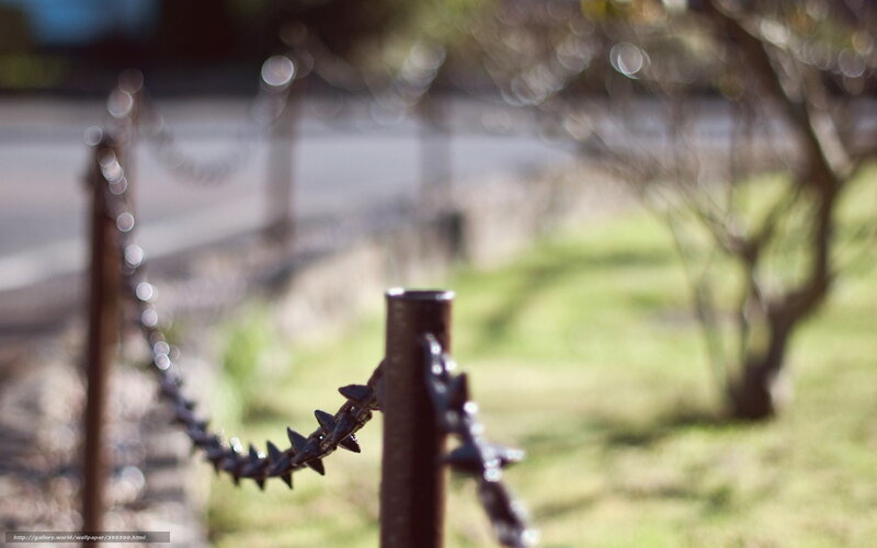 Chain-link fence in park