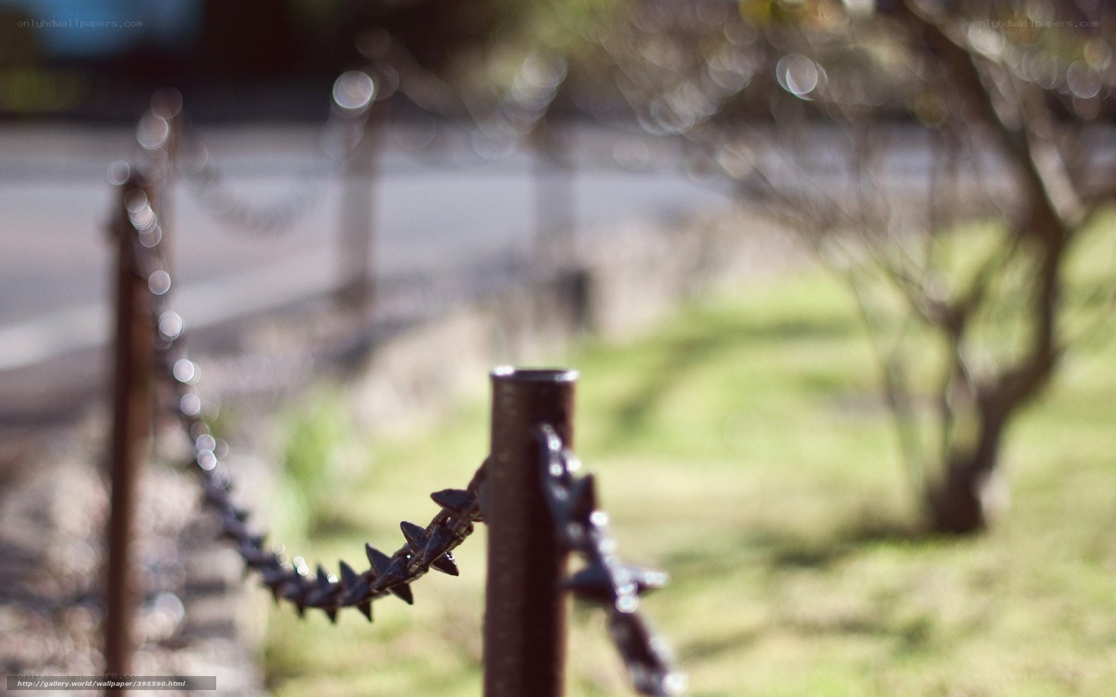 Chain-link fence in park