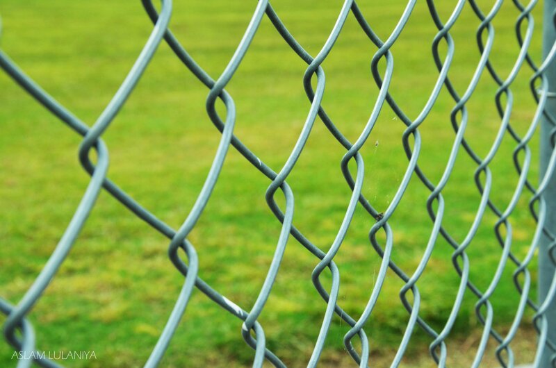 chain-link fence on grass