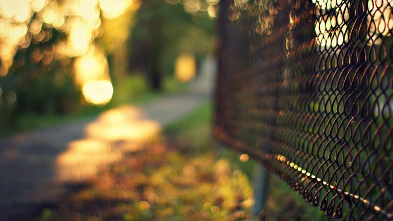Chain-link Fence on Path