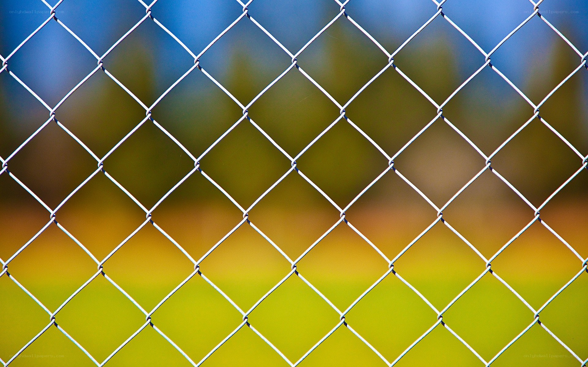 chain-link fence pattern