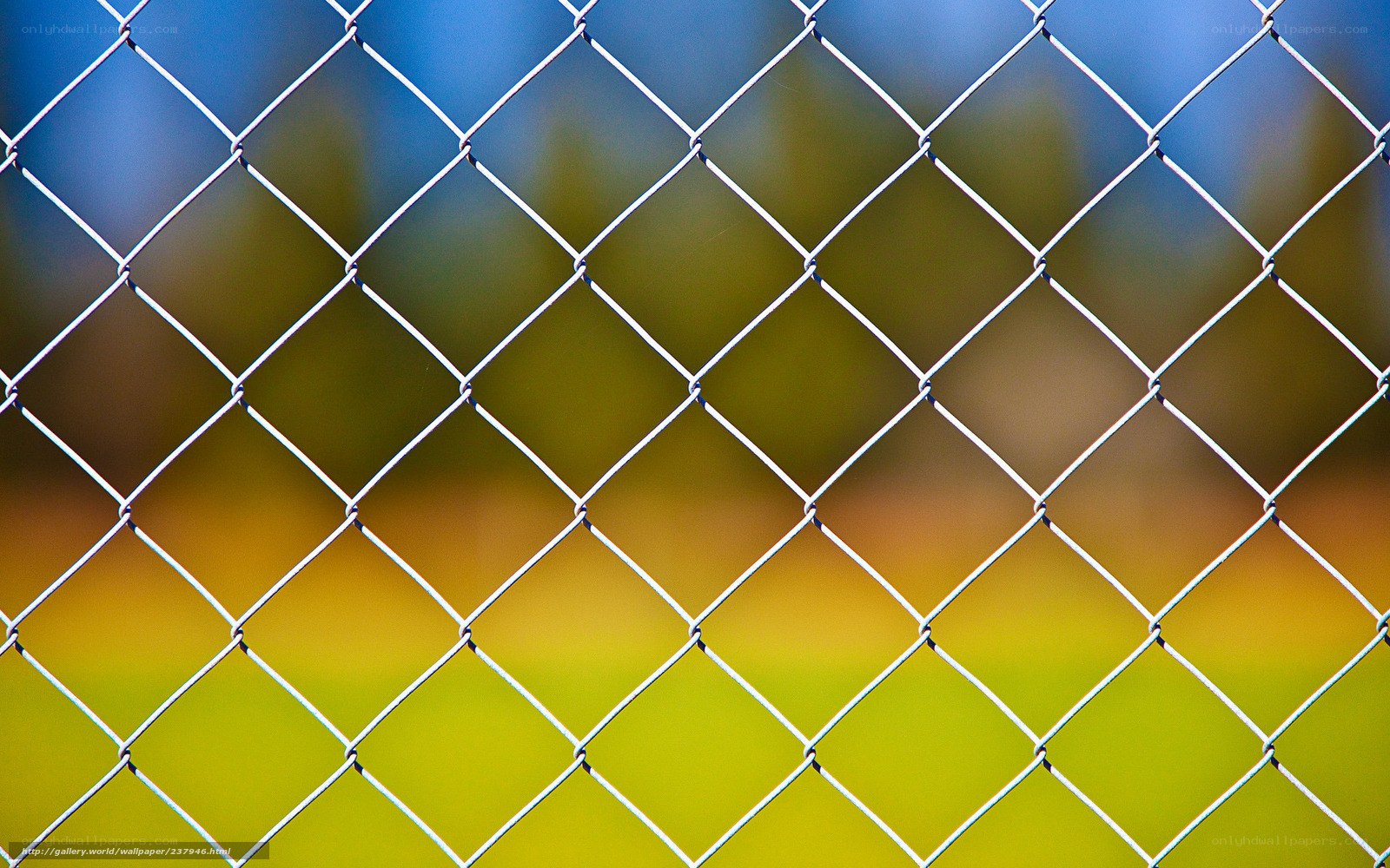 chain-link fence pattern