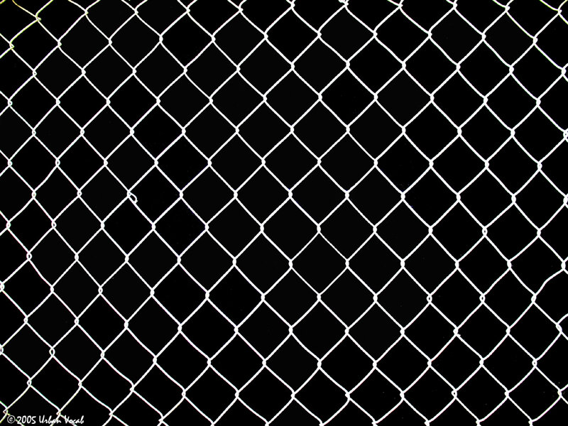 Chain-link Fence