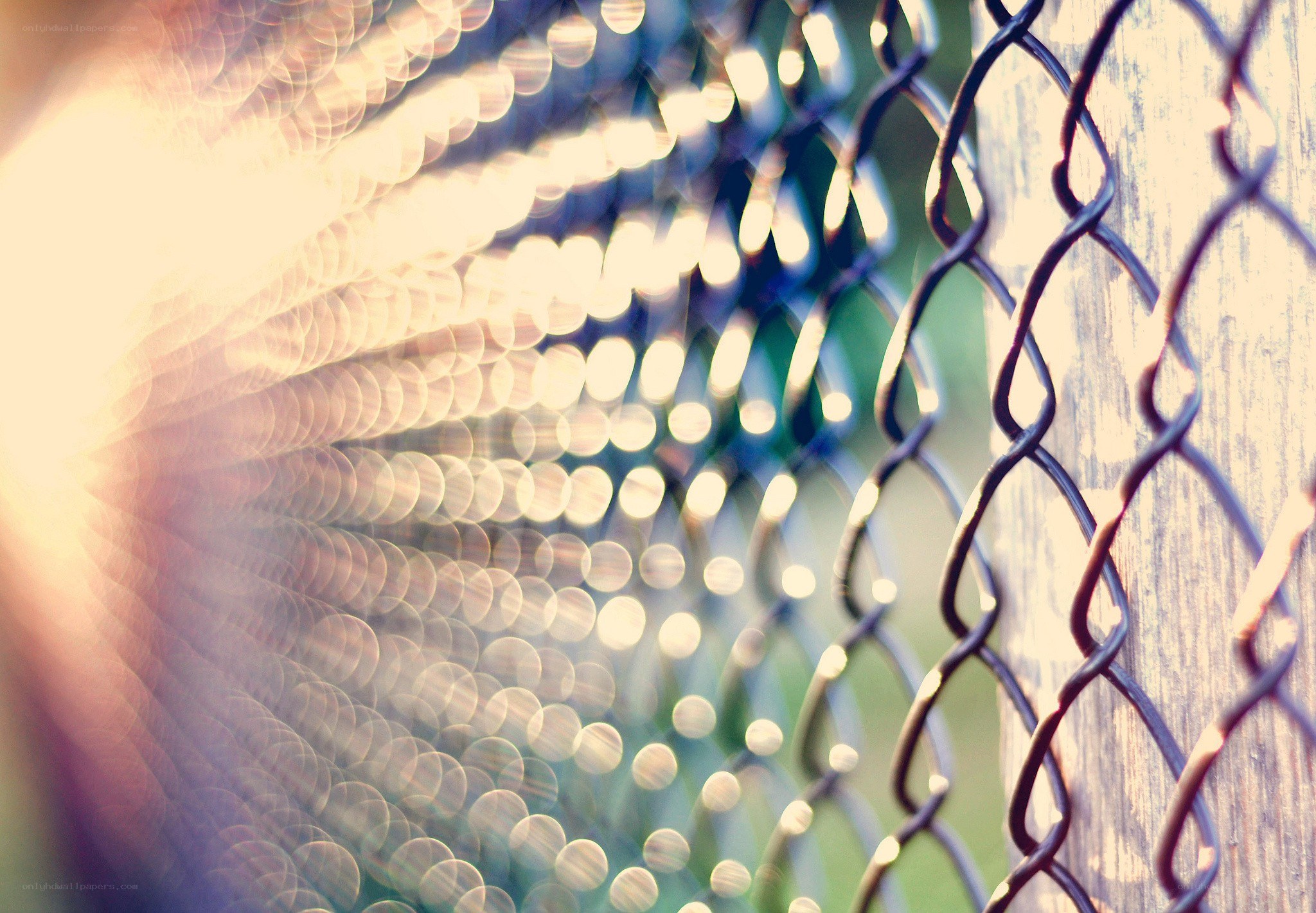chain-link fence with bokeh light