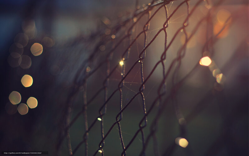 Chain-link fence with bokeh lights