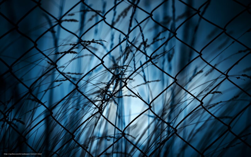 Chain-link fence with grass