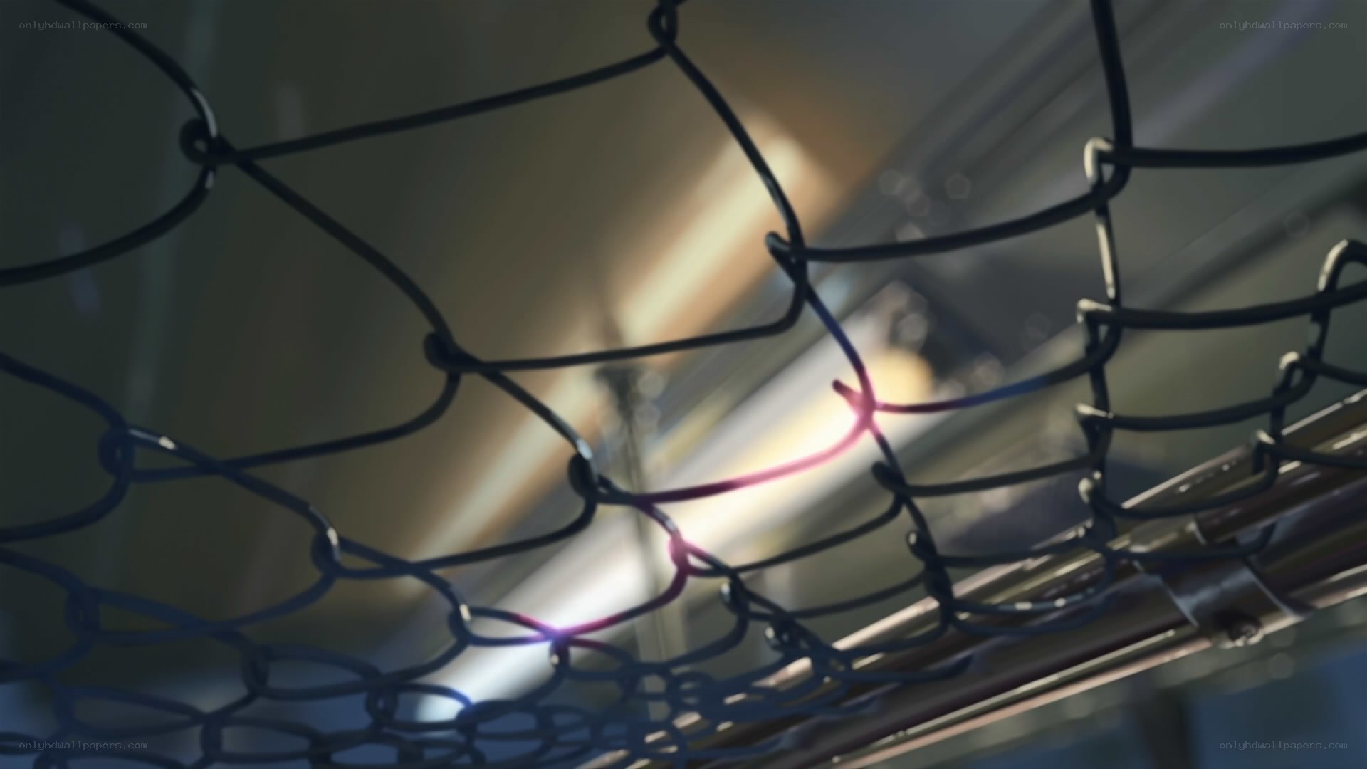 chain-link fence with light flare