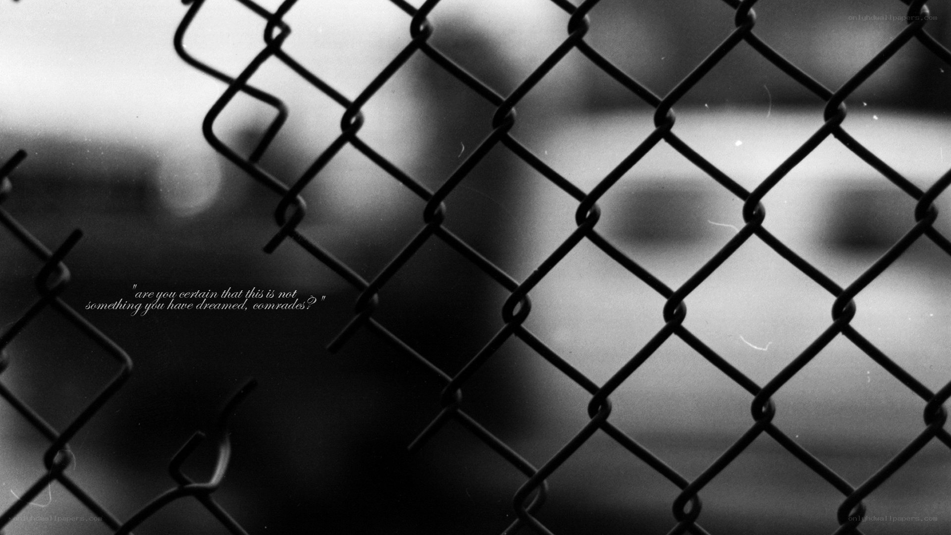 chain-link fence with quote