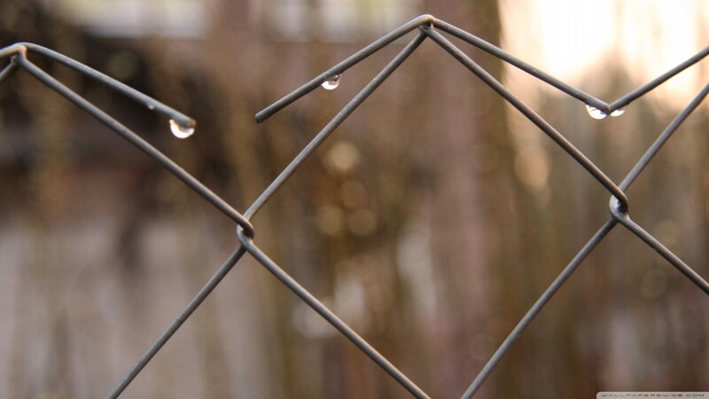 Chain-link Fence with Water Droplets