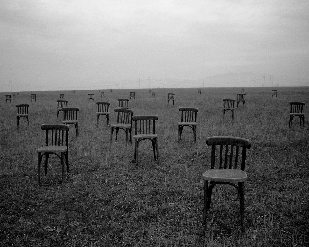 Chairs in a field