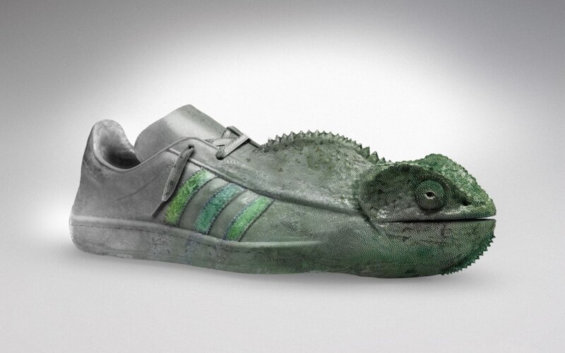 chameleon-adidas-sneaker