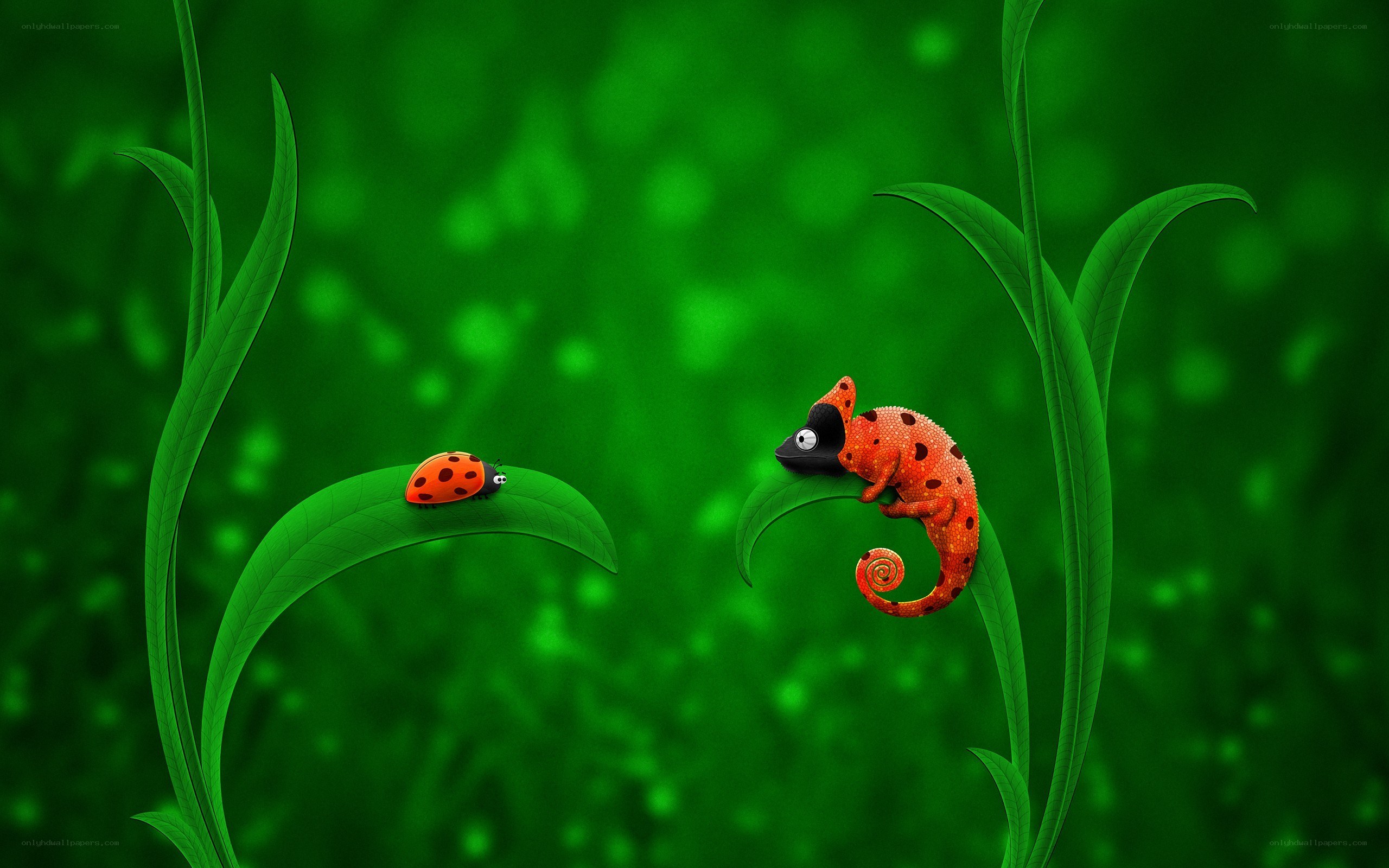 Chameleon and ladybug on leaves