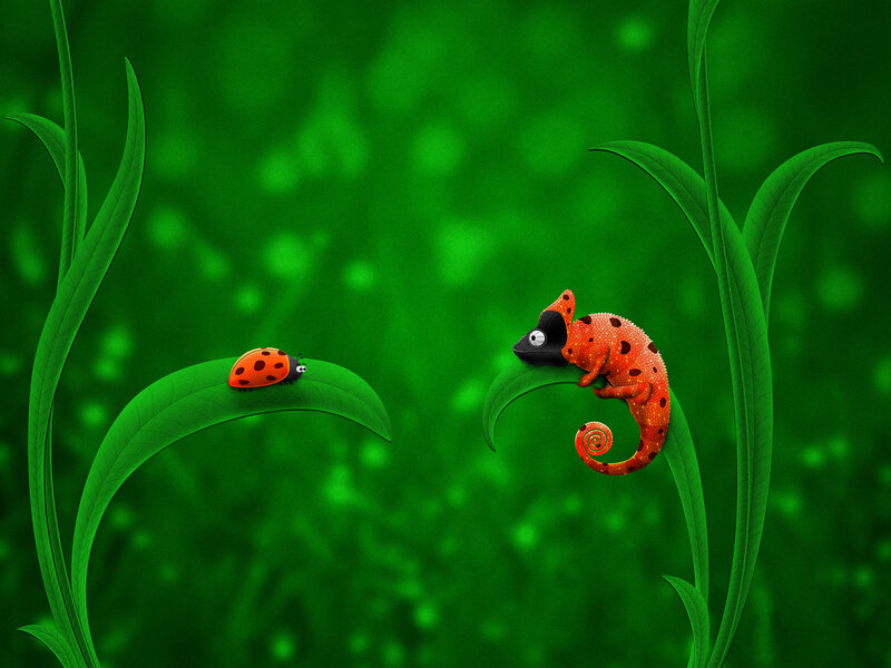 chameleon and ladybug on leaves