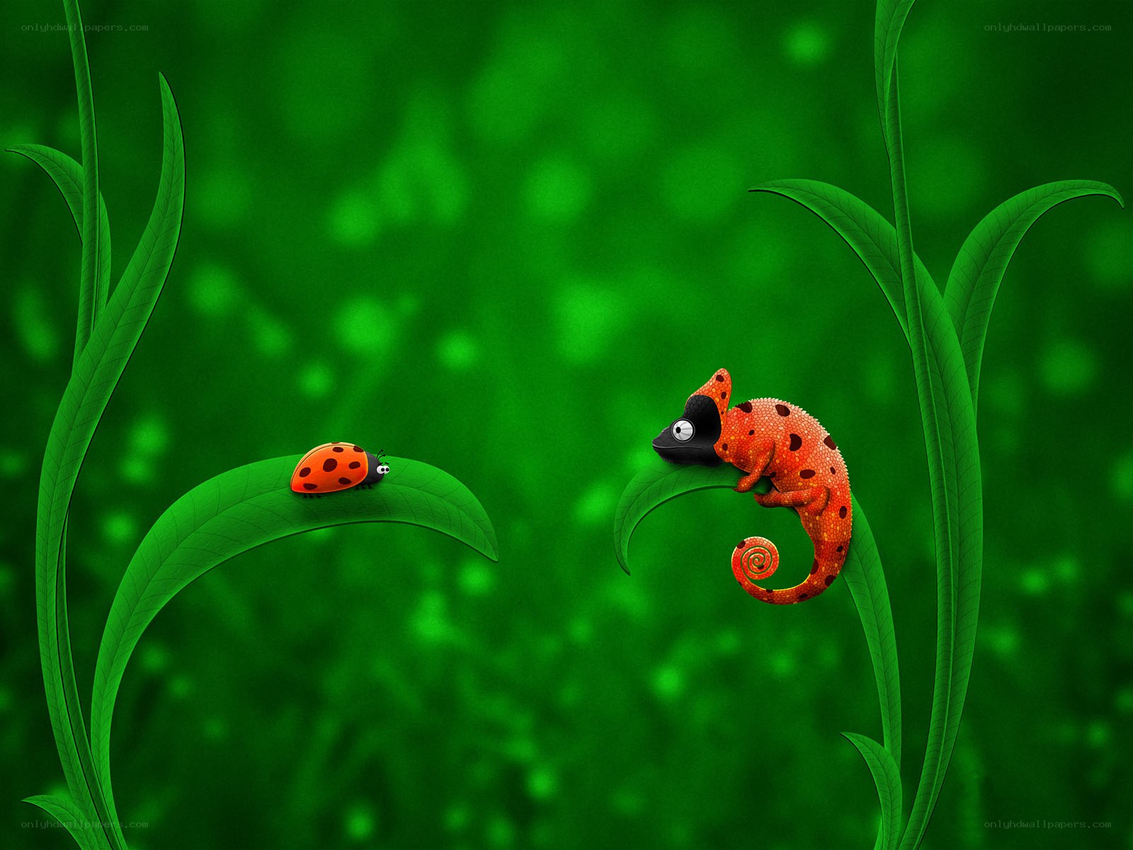 chameleon and ladybug on leaves