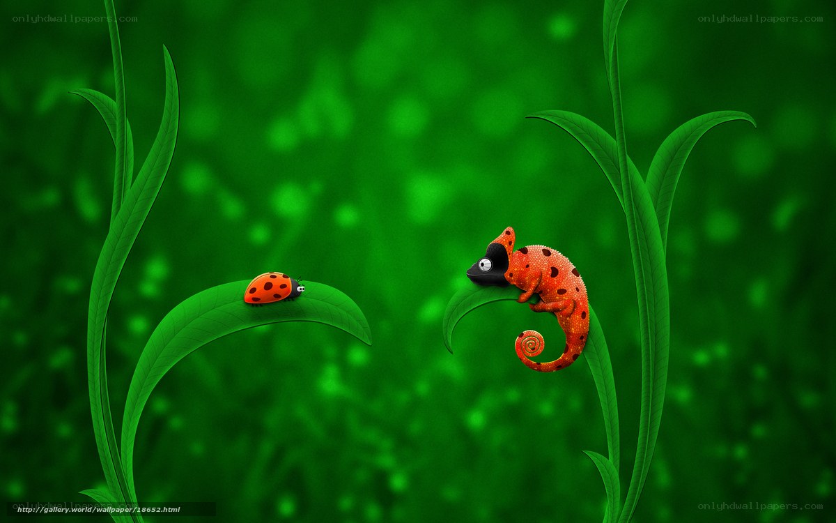 Chameleon and ladybug on leaves