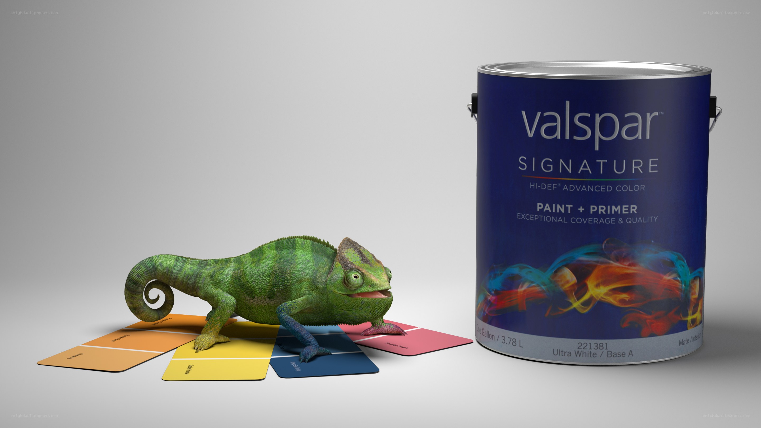 Chameleon and paint can