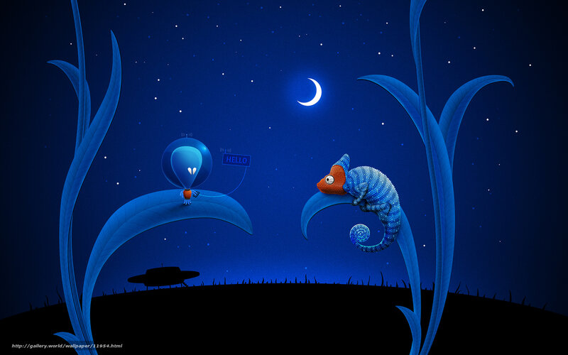 Chameleon and robot in night garden