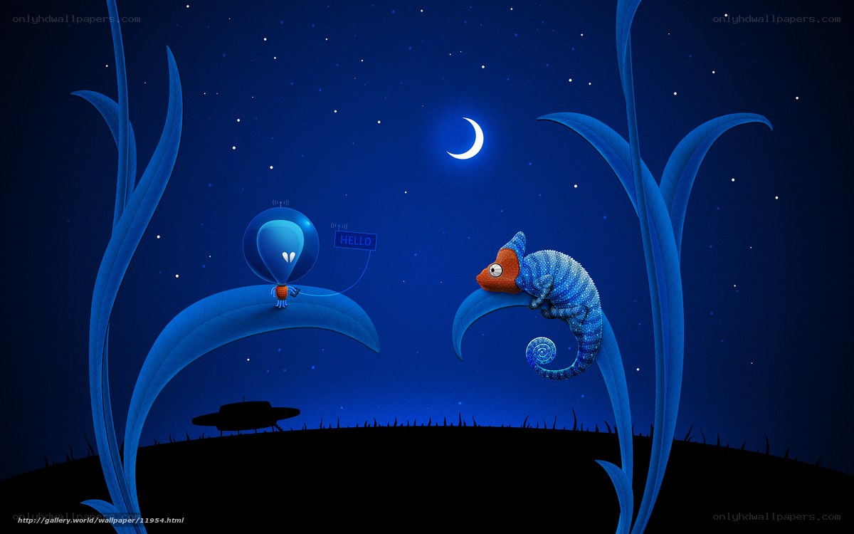 Chameleon and robot in night garden