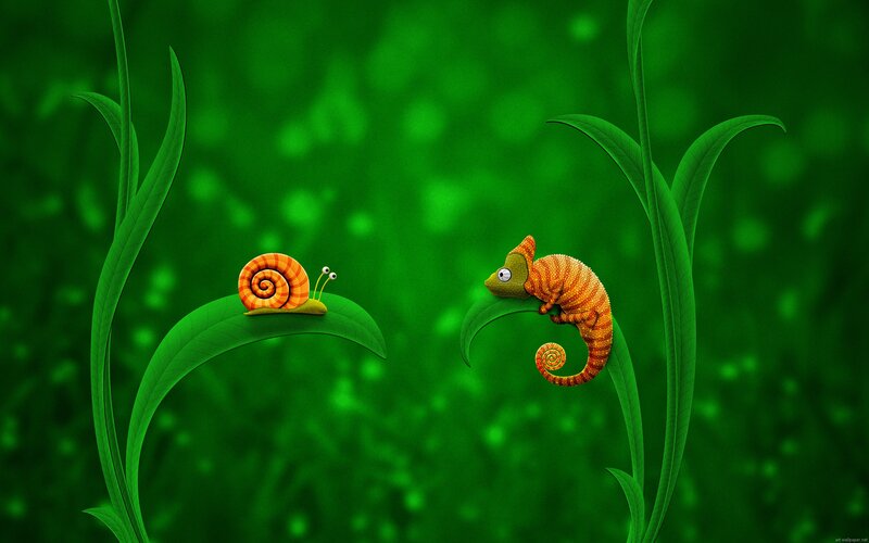 Chameleon and Snail