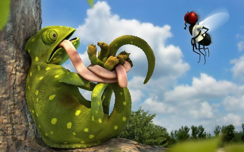 chameleon catching a fly