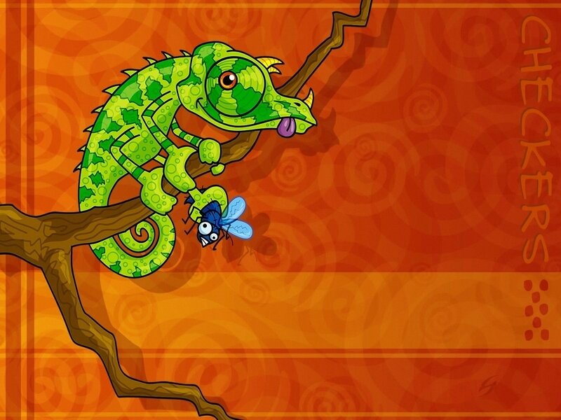 chameleon catching a fly