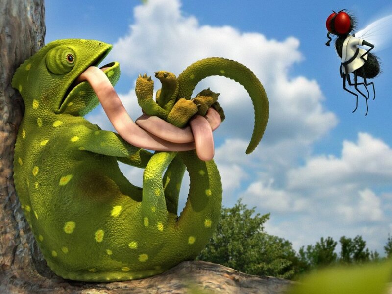 Chameleon catching a fly