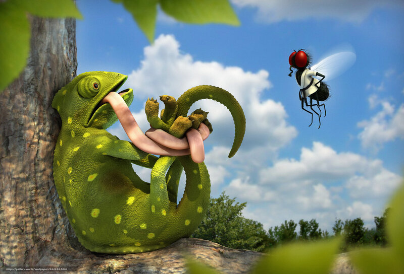 Chameleon Catching Fly — Green, Playful