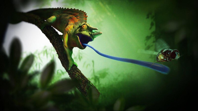 Chameleon Catching Fly — Green