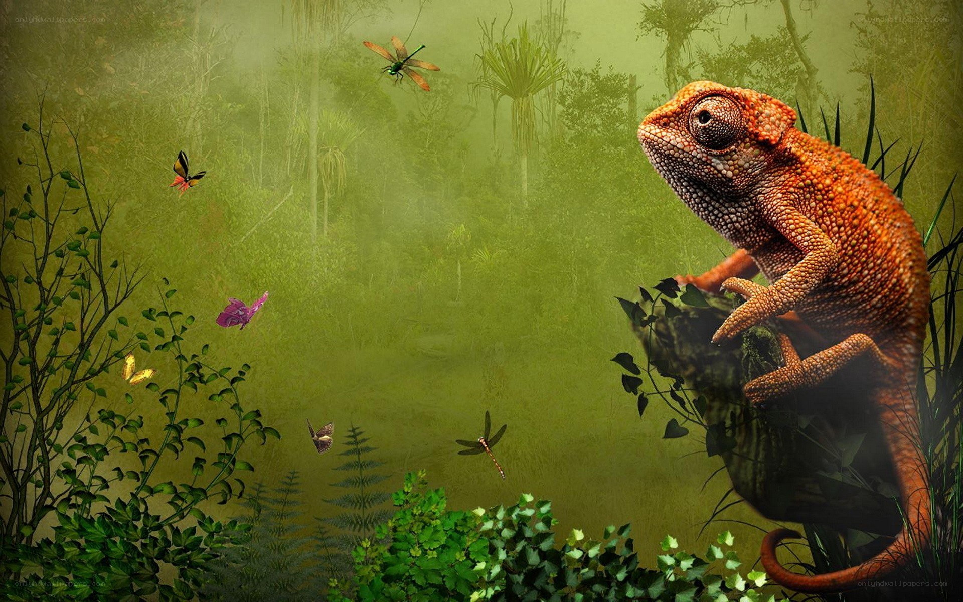 Chameleon in a lush forest