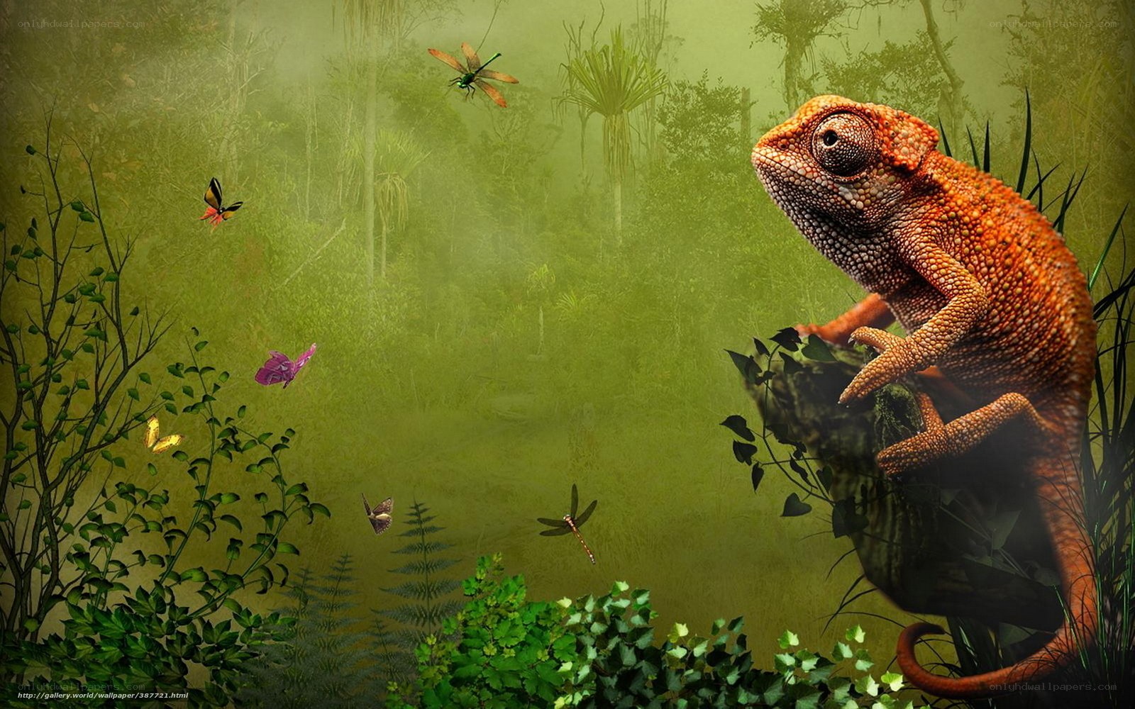 Chameleon in a lush forest