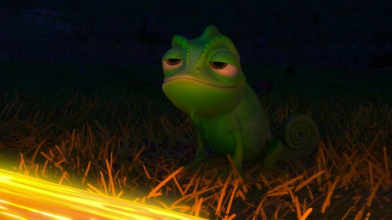 chameleon in grass at night