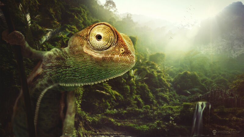 Chameleon in Jungle — Green