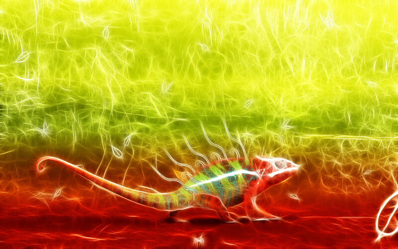 Chameleon in vibrant light