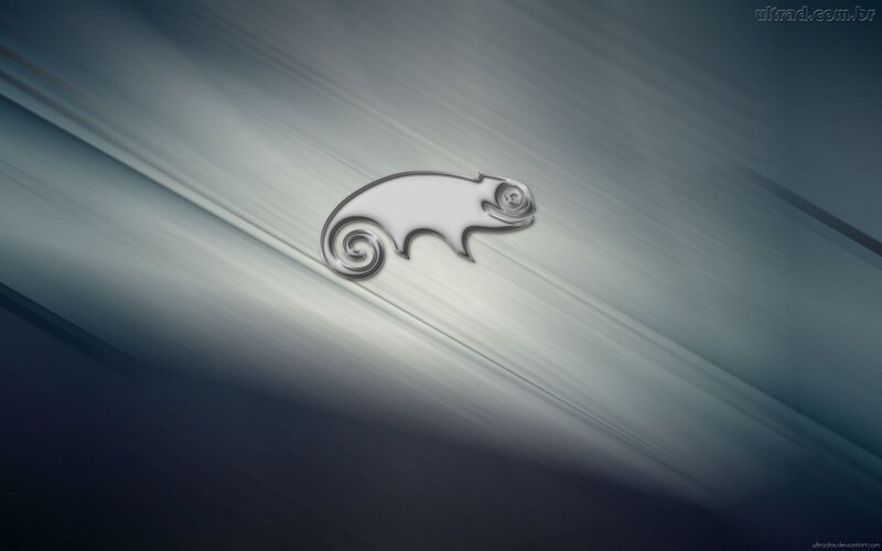 Chameleon logo on abstract background