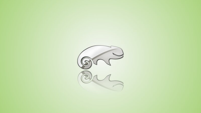 Chameleon Logo