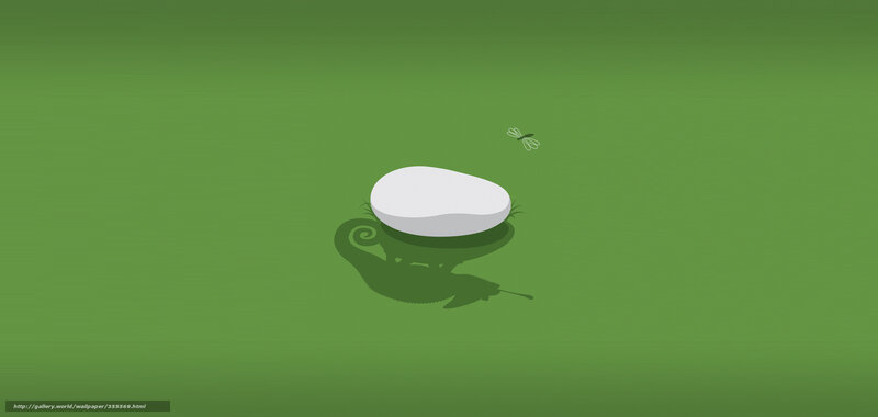 Chameleon on a rock