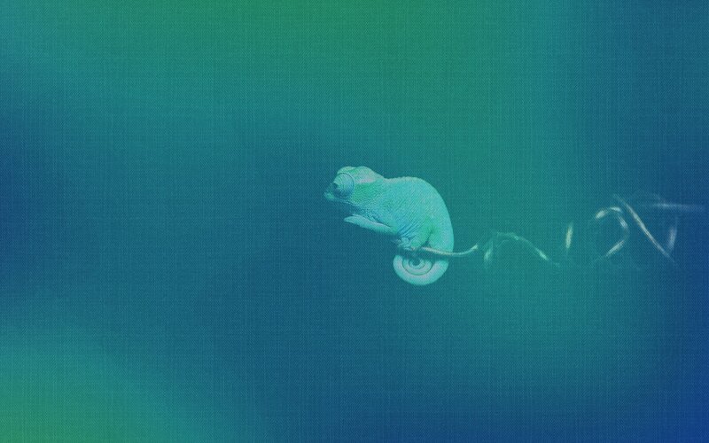 Chameleon on Branch — Blue