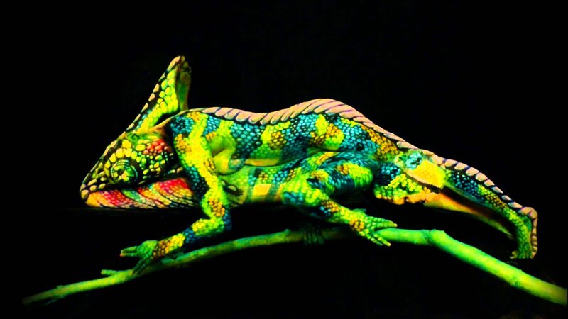 Chameleon on Branch — Green, Dramatic