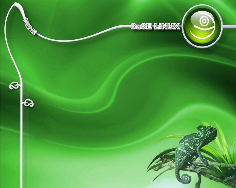 Chameleon on Branch