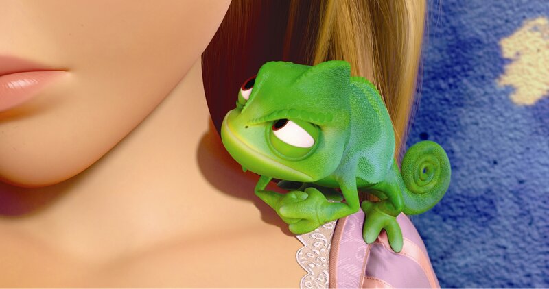 chameleon on shoulder