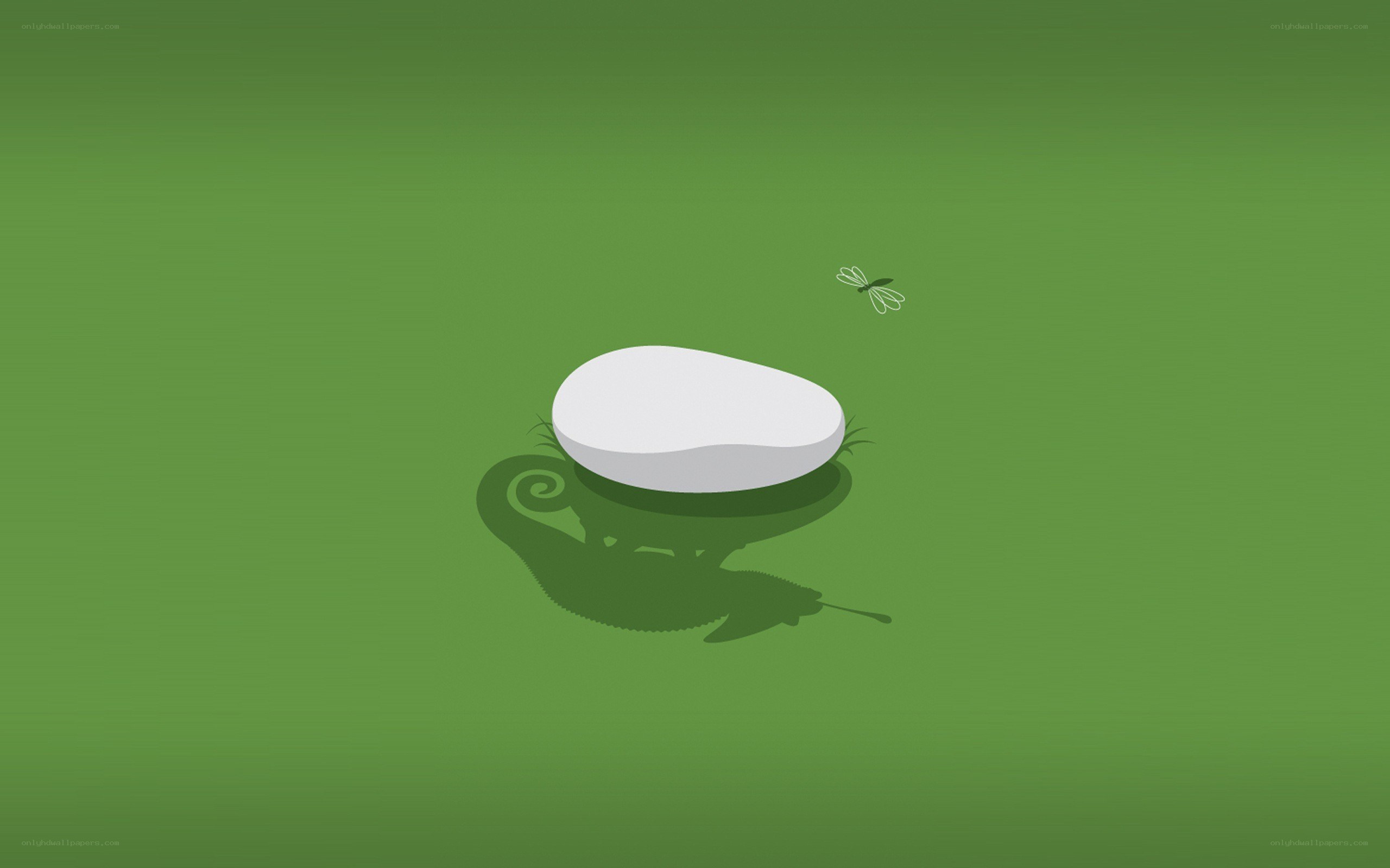 chameleon shadow on green
