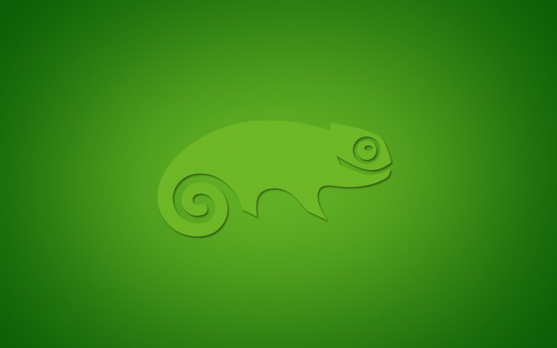 Chameleon Silhouette