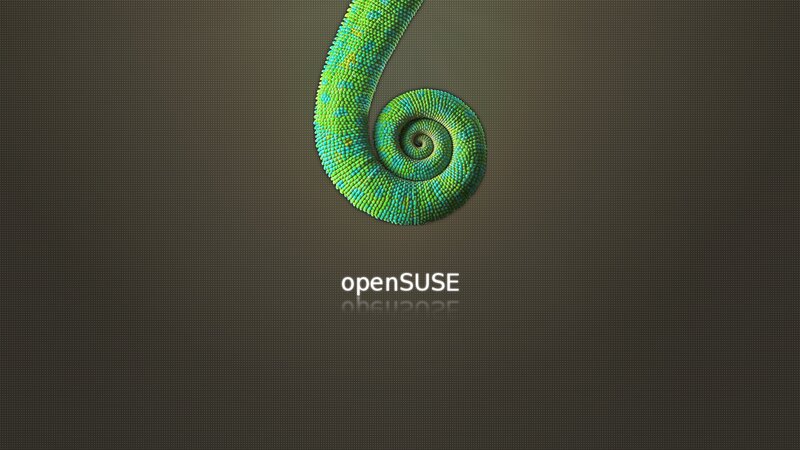 Chameleon Tail in Spiral